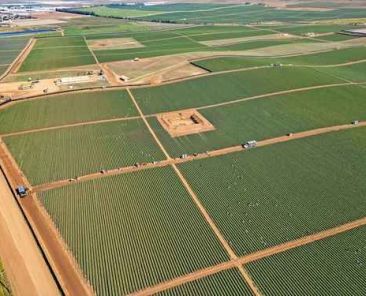 Superavit-agroalimentario-cae-16.2-en-enero‑mayo-de-2026