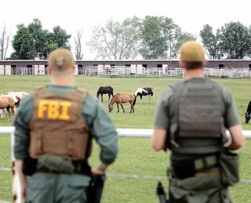 del-lavado-con-caballos-de-los-zetas-a-la-red-comercial-del-cartel-del-noreste