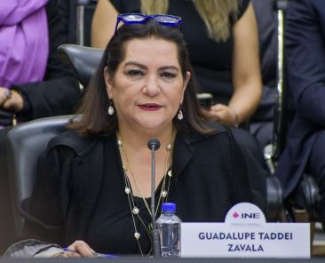 guadalupe-taddei-reporto-3-2-millones-de-pesos-y-ningun-inmueble-ni-vehiculo