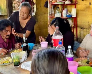 morena-destaca-que-13-4-millones-de-personas-salieron-de-la-pobreza-entre-2018-y-2024