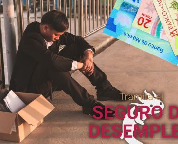 seguro-de-desempleo-cdmx-requisitos-y-como-tramitar-el-apoyo-economico