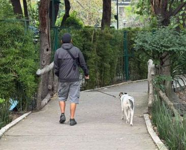vecinos-de-la-condesa-forman-brigadas-tras-envenenamiento-de-perros-en-parque-espana